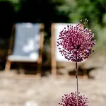 Les Volets Rouges - - Situe Dans Le Parc National Des Calanques - Parking Gratuit 2* Cassis