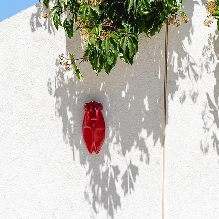 Les Volets Rouges - - Situe Dans Le Parc National Des Calanques - Parking Gratuit מלון קסיס